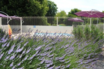 Camping Le Mambré, Location de Vacances en Saône-et-Loire
