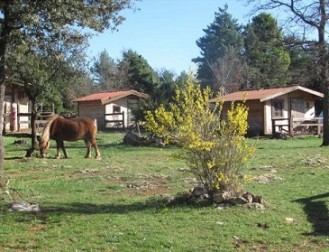 c.a de la ferme equestre du puits de riquier a regusse (location-vacances)